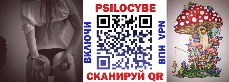 Купить  Кораблино  Псилоцибиновые грибы Cubensis 